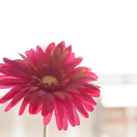 Goldene Ruh Auszeit Mit Aussicht * Grömitz